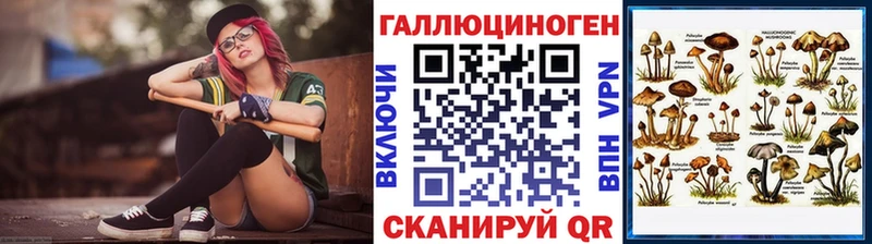 где можно купить наркотик Новая Ляля сайты даркнета какой сайт Галлюциногенные грибы мухоморы